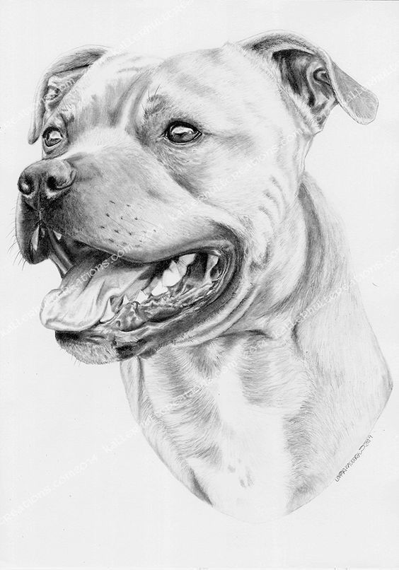 طرح نقاشی سگ با سیاه قلم