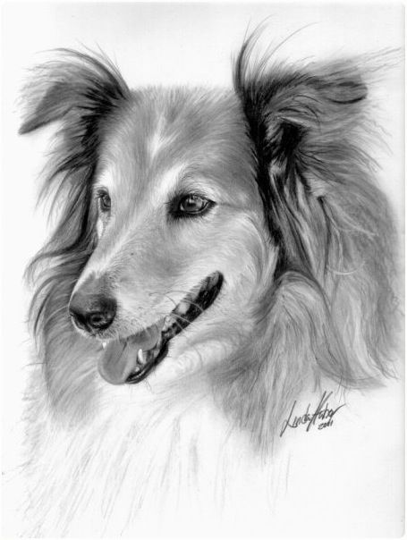 نقاشی زیبا از سگ