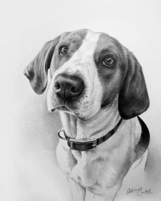 مدل نقاشی سگ